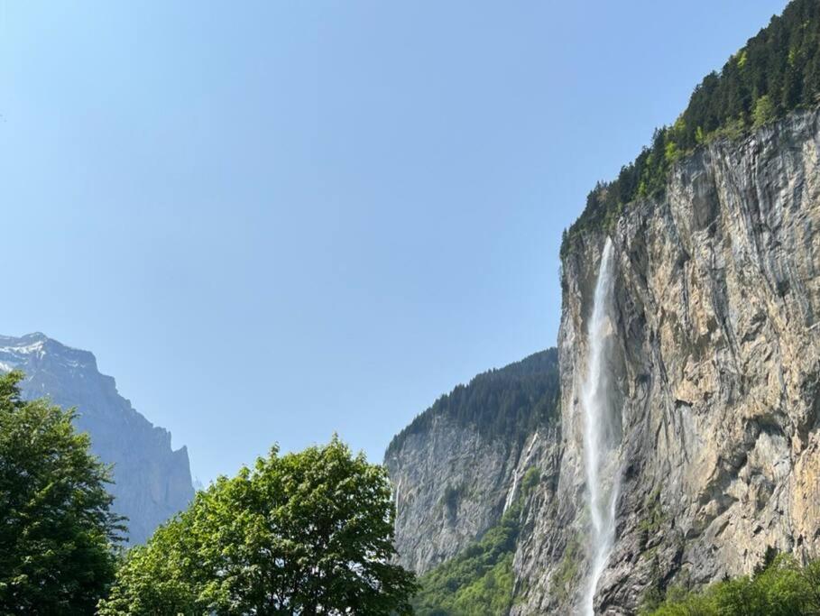 Chalet Maithili Lauterbrunnen -152-Year-Old Majestic Chalet المظهر الخارجي الصورة