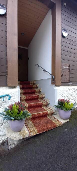 Chalet Maithili Lauterbrunnen -152-Year-Old Majestic Chalet المظهر الخارجي الصورة